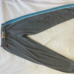 Aviator Nation Gray Joggers with Blue Stripe